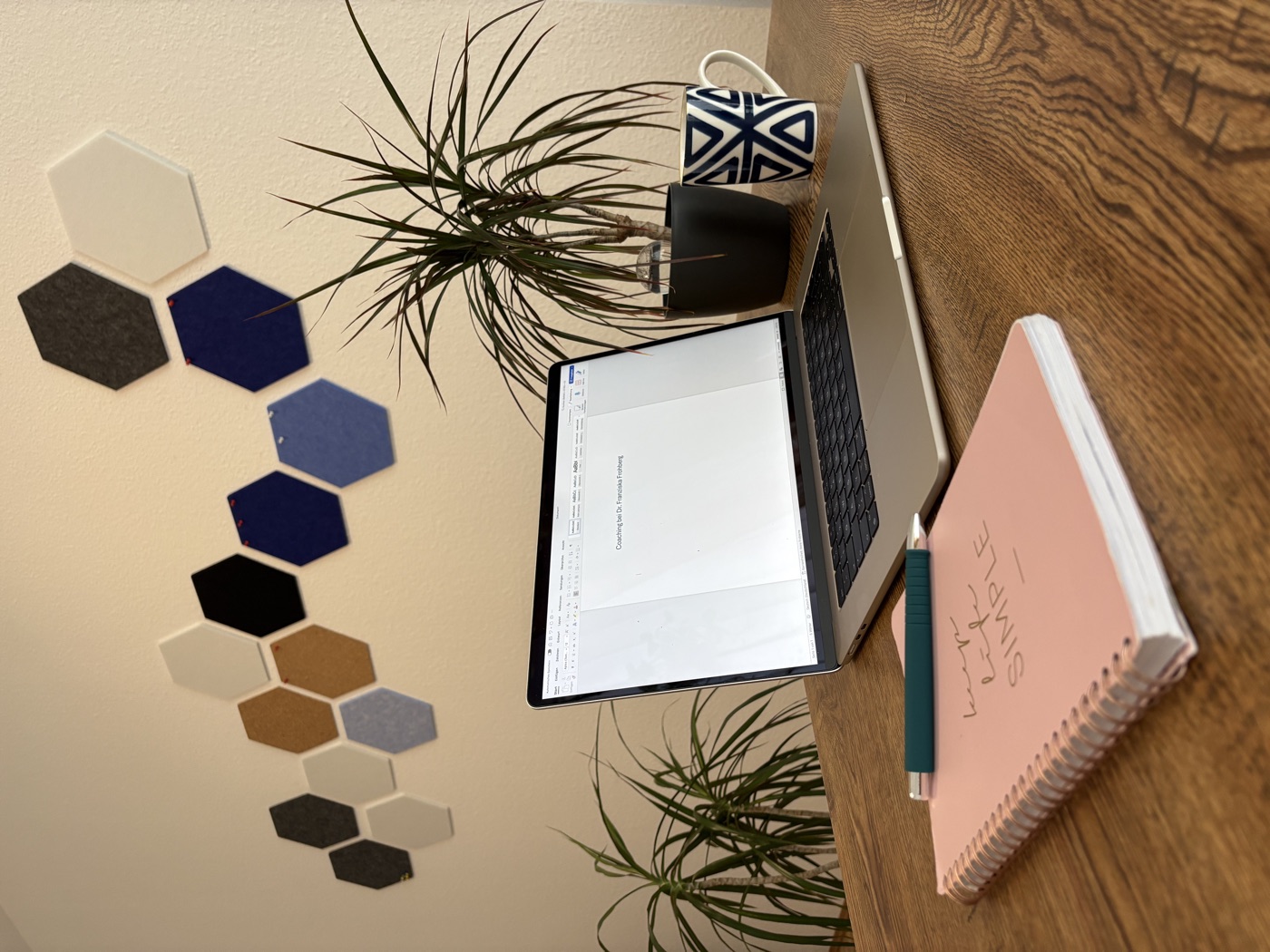 Arbeitsplatz von Franziska Frohberg mit Laptop und Notizbuch